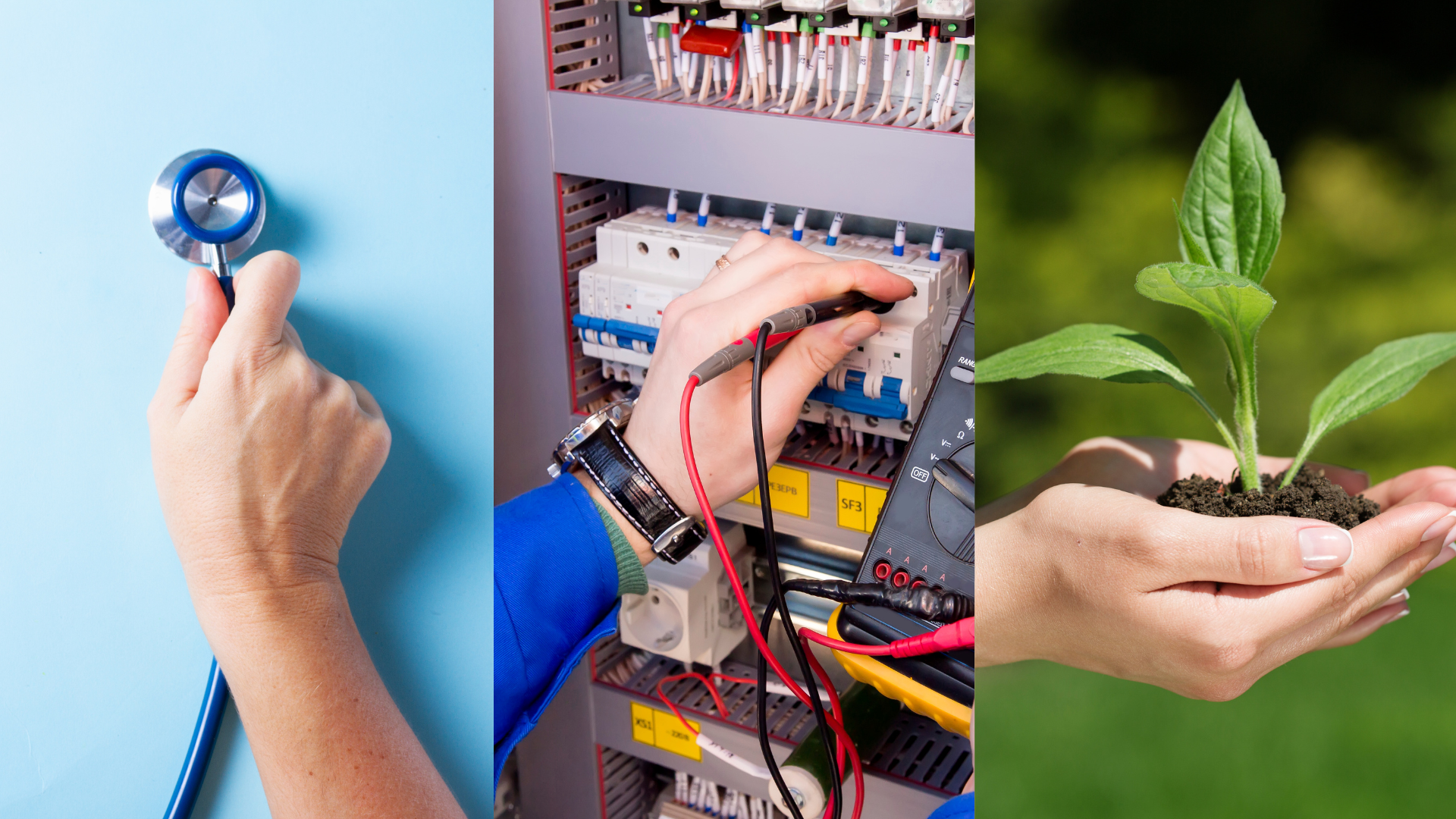 a hand holding a stethescope, a hand working with electrical wiring, a hand holding a plant