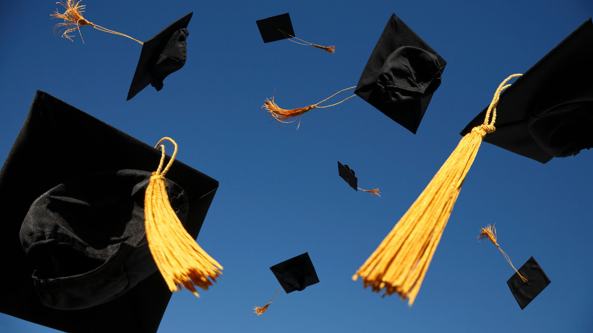 graduation caps in the air